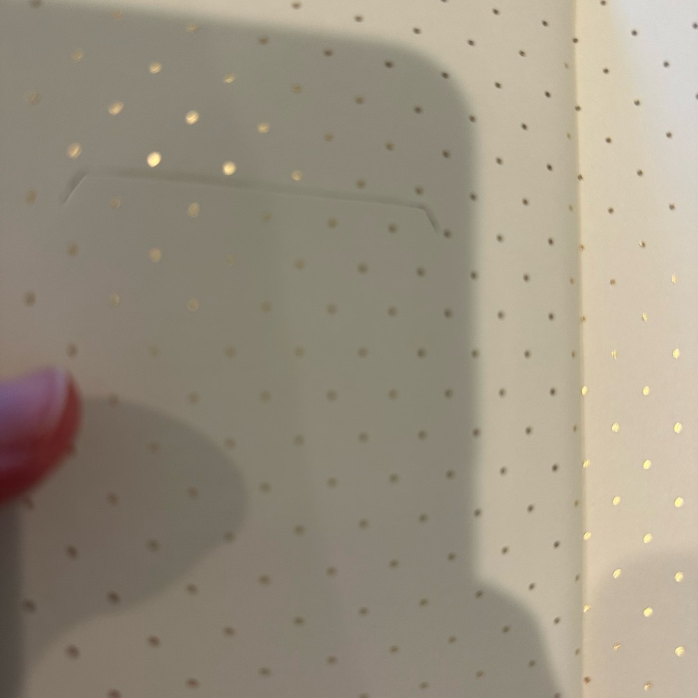 Kate Spade Travel Journal - Picture 9 of 16